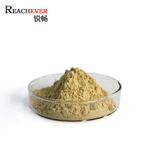 Natural Galla Chinensis Extract Tannic Acid Powder in Bulk